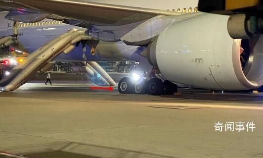 国泰航空客机中止起飞 11名乘客受伤