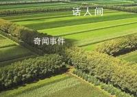 如果精神有颜色它一定在其中 必将守护生机盎然的未来