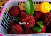 男子每天1斤杨梅狂吃20天要做血透 突然浑身乏力
