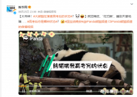 大熊猫在演谁高考后的状态?