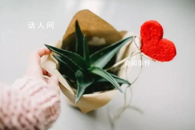 如果人们看得见 赤诚是指人们真实坦诚地表达自己的想法