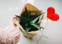 如果人们看得见 赤诚是指人们真实坦诚地表达自己的想法