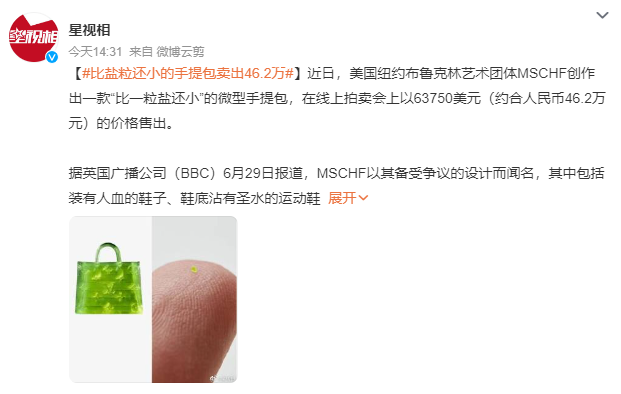比盐粒还小的手提包卖出46.2万 MSCHF以其备受争议的设计而闻名