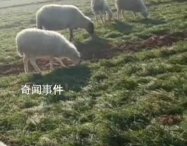 邻居讲述山西男子杀妻灭子案 结婚后夫妻关系不太好