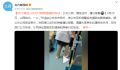 女子疑坐公交不付钱踩猫威胁司机 发现难以应对的乘客建议报警