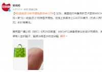 比盐粒还小的手提包卖出46.2万 MSCHF以其备受争议的设计而闻名