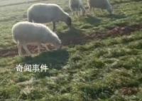 邻居讲述山西男子杀妻灭子案 结婚后夫妻关系不太好
