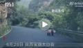 陕西居民驾车途中偶遇淡定大熊猫 圆乎乎胖嘟嘟的大熊猫行走的背影十分可爱