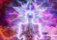 科学揭秘通灵现象未解之谜 比较常见的动物通灵现象有哪些