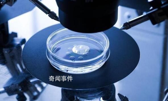 科学家成功培养首个人类胚胎模型 流水线造人或成真