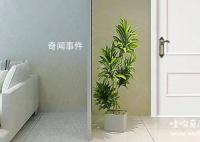 厕所门对着卧室门好吗 厕所门对着卧室门怎么化解