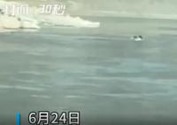 金沙江落水女孩拜救人者为干爹 引发热议