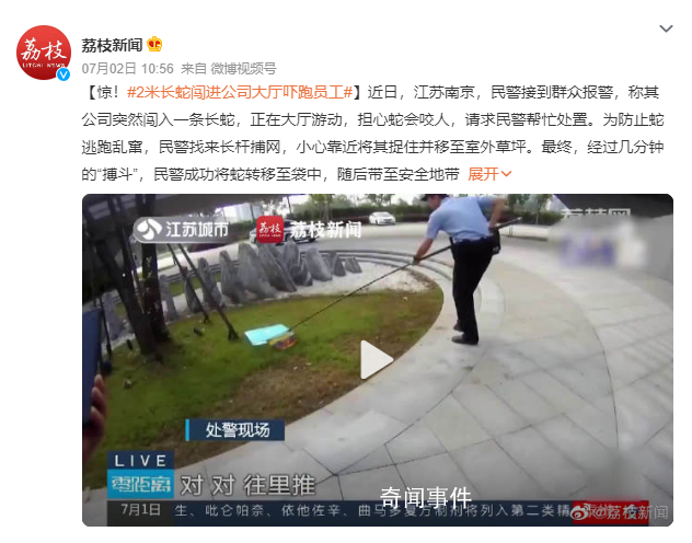 2米长蛇闯进公司大厅吓跑员工 请求民警帮忙处置