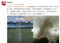 成都一草坪惊现上百条“蚊卷风” 成千上万只蚊子成群窜飞