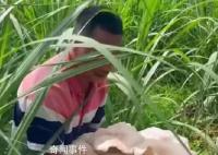 男子外出干活遇超大菌子 网友：羡慕云南人