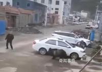 西藏回应县城中心频频熊出没 引发关注和热议