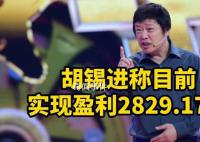 胡锡进:目前实现盈利2829.17元
