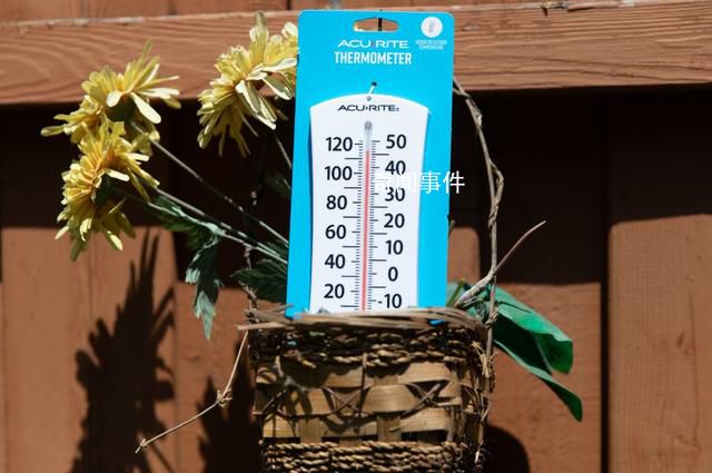 世界气象组织确认厄尔尼诺出现 7月3日是地球有记录以来最热一天