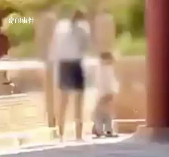 故宫回应家长带娃随地小便 正在核实处理中