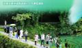 夏日经济火起来 丰富多彩的避暑休闲活动正持续激发夏日经济新活