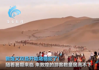 敦煌又双叒叕堵骆驼了!队伍一眼望不到边