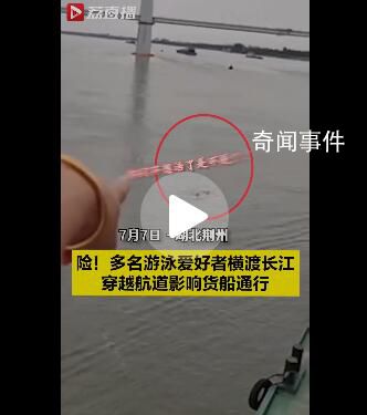 多人游泳横渡长江船员大吼避让 你们不要命了