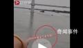 多人游泳横渡长江船员大吼避让 你们不要命了
