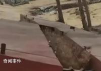 当地回应村民搭桥收费被判刑疑问 为何在罚款3次之后才强制拆除