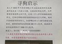 郑州狗主悬赏1000万人民币寻狗 引发热议