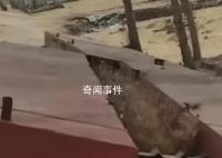 罗翔谈村民私搭浮桥被判刑 修桥造路应是社会秩序所嘉许的