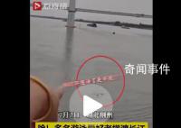 多人游泳横渡长江船员大吼避让 你们不要命了