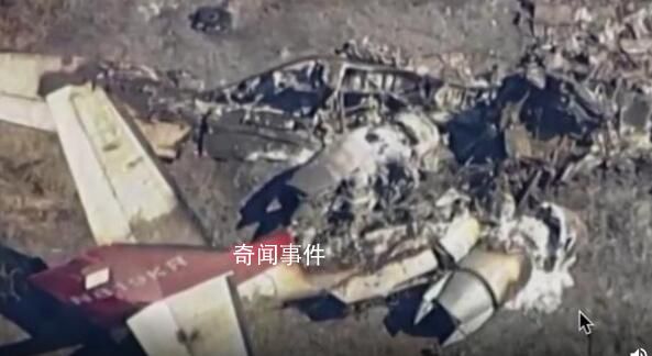 美加州一飞机失事6名乘客遇难 背后真相恐怖极了