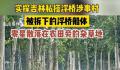 私搭浮桥案举报者:修桥收钱损人利己