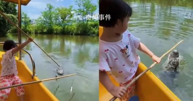 南京一动物园推出钓鳄鱼项目 你敢让孩子体验钓鳄鱼吗