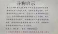 “1000万寻狗”事件背后疑有推手 引发网友热议
