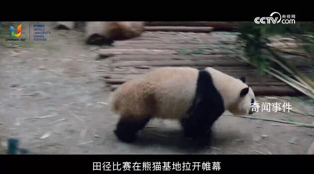 成都动起来,世界看过来