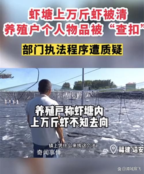 当地回应养殖户上万斤虾被清空 究竟遇到了什么问题