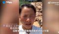 猪场因断电死亡462头猪损失近百万 莫名其妙的背了100万的债务