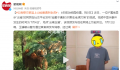 男子自称上山捡菌遇老虎 警方:行拘
