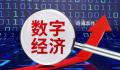 数字经济成为稳增长重要引擎 2022年全国企业采购规模超过173万亿元
