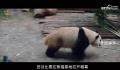 成都动起来,世界看过来