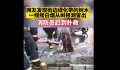 高温天气西安一行道树冒白烟 究竟是怎么回事