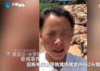 猪场因断电死亡462头猪损失近百万 莫名其妙的背了100万的债务