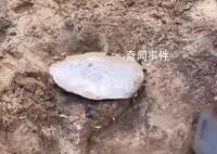 男子在自家挖出700枚200年前硬币 价值至少数百万美元