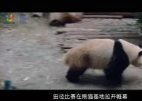 成都动起来,世界看过来