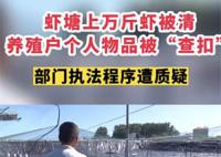 当地回应养殖户上万斤虾被清空 究竟遇到了什么问题