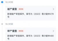 富力地产被申请破产重整 正商谈和解中