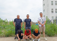 安徽刑警3天抓了1062人 全省打掉各类犯罪团伙112个