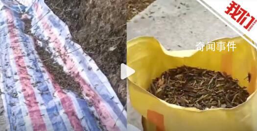 拜登称普京已输掉战争 给西方打气