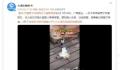 女子被男子摔打 大喊帮我报警